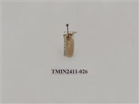 藏品(灰雙線刺蛾)的圖片